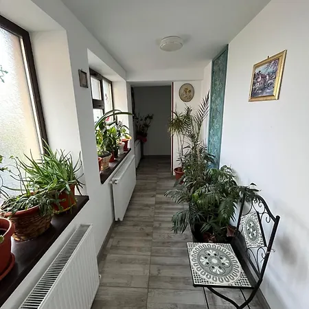Solaria Studio Galati  Exterior photo